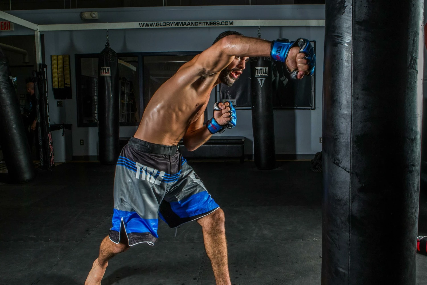 TITLE MMA Menace Metallic Training Gloves 2 TITLE MMA Menace Metallic Training Gloves - Image 2