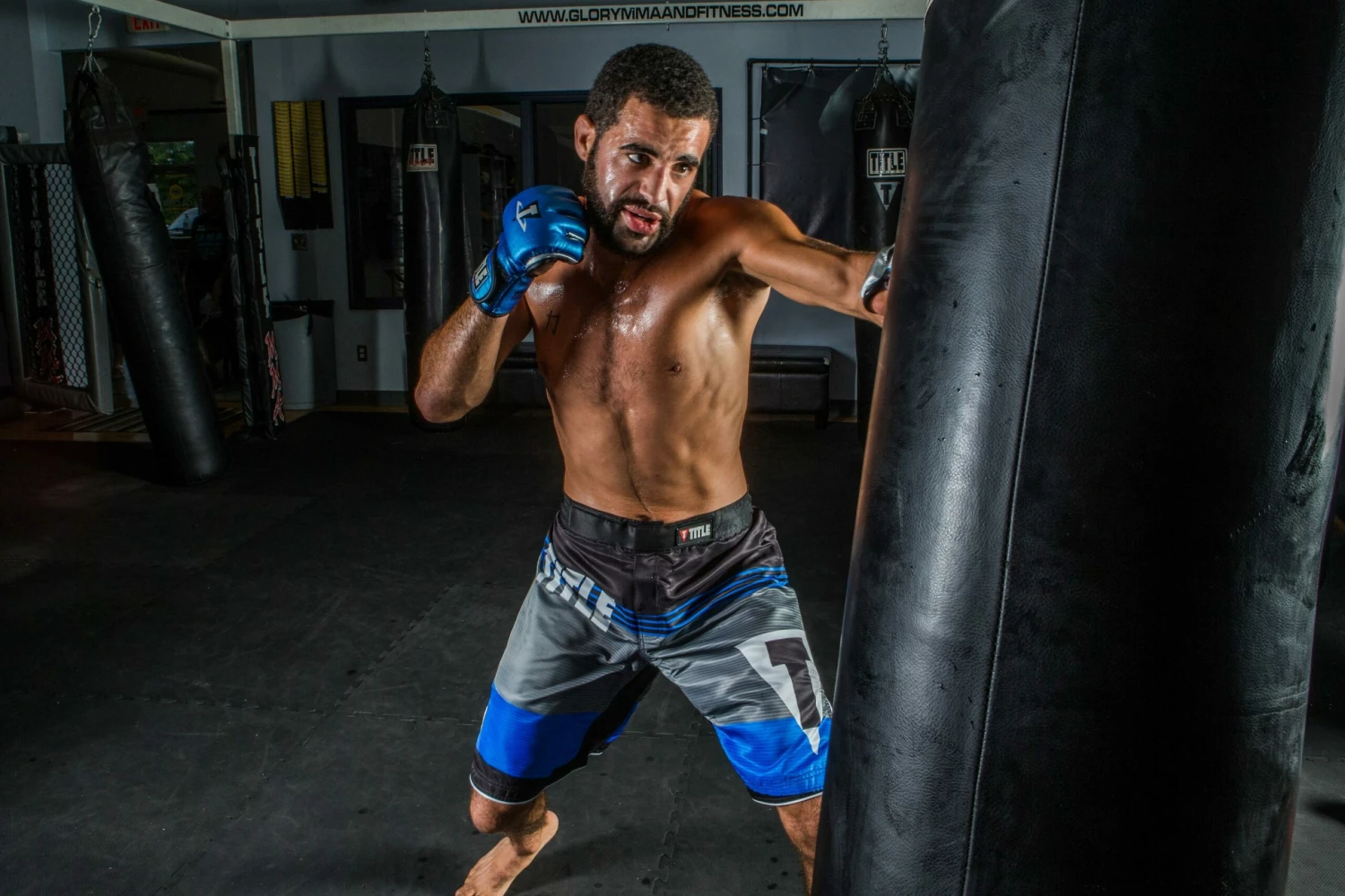 TITLE MMA Menace Metallic Training Gloves 6 TITLE MMA Menace Metallic Training Gloves - Image 6