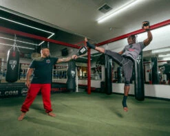 TITLE Boxing Duo Target Training Paddle -Boxing Equipment Sales Store dttp 2 2