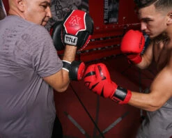 TITLE Boxing Forearm Jab Target -Boxing Equipment Sales Store fajt 2 ccf40dac 10a2 4de2 b53a 9f826a1831b2