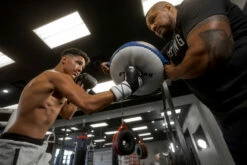 Fighting Sports Leather Punch Shield -Boxing Equipment Sales Store flps2 5