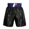 Fighting Professional Boxing Trunks
