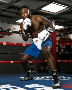 Fighting Deluxe Groin & Ab Protector 2.0 -Boxing Equipment Sales Store fsdgap2 2