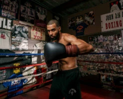 TITLE Boxing Honorary Sparring Gloves -Boxing Equipment Sales Store gossg bk bnl 3 1 1