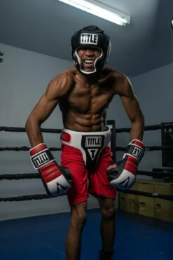 TITLE Boxing Gel World Full Face Training Headgear -Boxing Equipment Sales Store gthgf bk