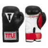 TITLE Classic Kid & Youth Boxing Gloves 2.0