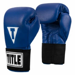 TITLE Boxing Masters USA Boxing Competition Gloves - Elastic -Boxing Equipment Sales Store macges bl 02
