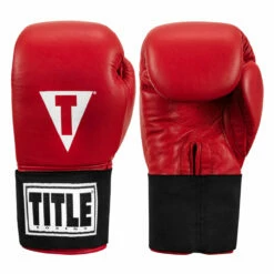 TITLE Boxing Masters USA Boxing Competition Gloves - Elastic -Boxing Equipment Sales Store macges rd 01