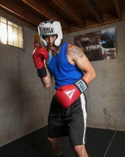 TITLE Boxing Masters USA Boxing Competition Gloves - Elastic -Boxing Equipment Sales Store macges rd 1 1