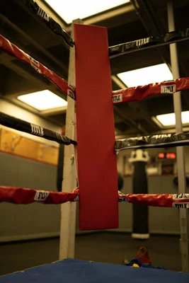 TITLE Boxing Blank Pro Corner Cushion V3.0 - Single 7 TITLE Boxing Blank Pro Corner Cushion V3.0 - Single - Image 7