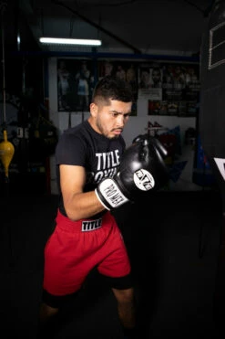 Pro Mex Professional Bag Gloves V3.0 -Boxing Equipment Sales Store pmhbg3 bk 2