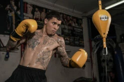 Pro Mex Professional Double End Bag V2.0 -Boxing Equipment Sales Store pmrdeb2 ye 1