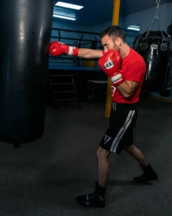 Pro Mex Professional Lace Sparring Gloves V3.0 -Boxing Equipment Sales Store pmtgl3 rd