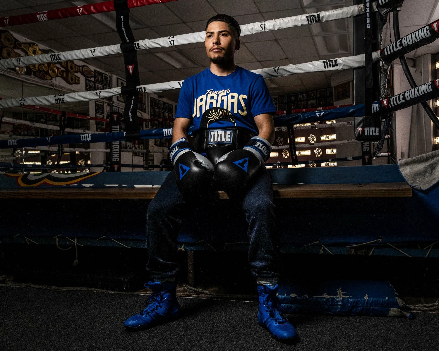 TITLE Platinum Perilous Boxing Training Gloves 8 TITLE Platinum Perilous Boxing Training Gloves - Image 8