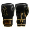 TITLE Boxing Roberto Duran Signature Leather Bag Gloves