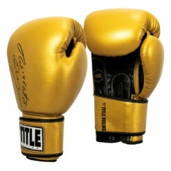 TITLE Boxing Roberto Duran Leather Training Gloves -Boxing Equipment Sales Store rdtg gd bk 02