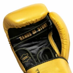 TITLE Boxing Roberto Duran Leather Training Gloves -Boxing Equipment Sales Store rdtg gd bk 05