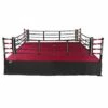 TITLE Boxing Professional Training Ring