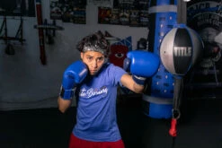 TITLE Boxing Royalty Leather Bag Gloves -Boxing Equipment Sales Store rybg