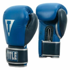 TITLE Boxing Royalty Leather Bag Gloves -Boxing Equipment Sales Store rybg ry nv 02
