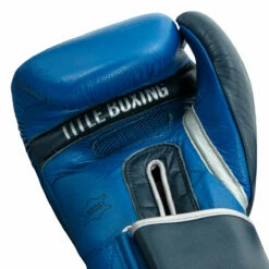 TITLE Boxing Royalty Leather Bag Gloves -Boxing Equipment Sales Store rybg ry nv 05