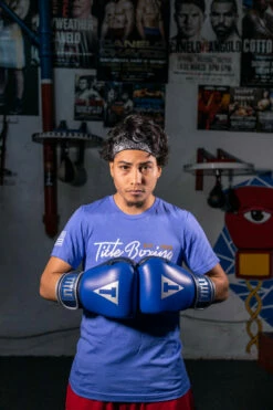 TITLE Boxing Royalty Leather Bag Gloves -Boxing Equipment Sales Store rybg 3