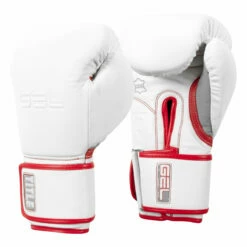 TITLE Boxing Gel Special Edition Bag Gloves -Boxing Equipment Sales Store setgbg sv wh rd 02