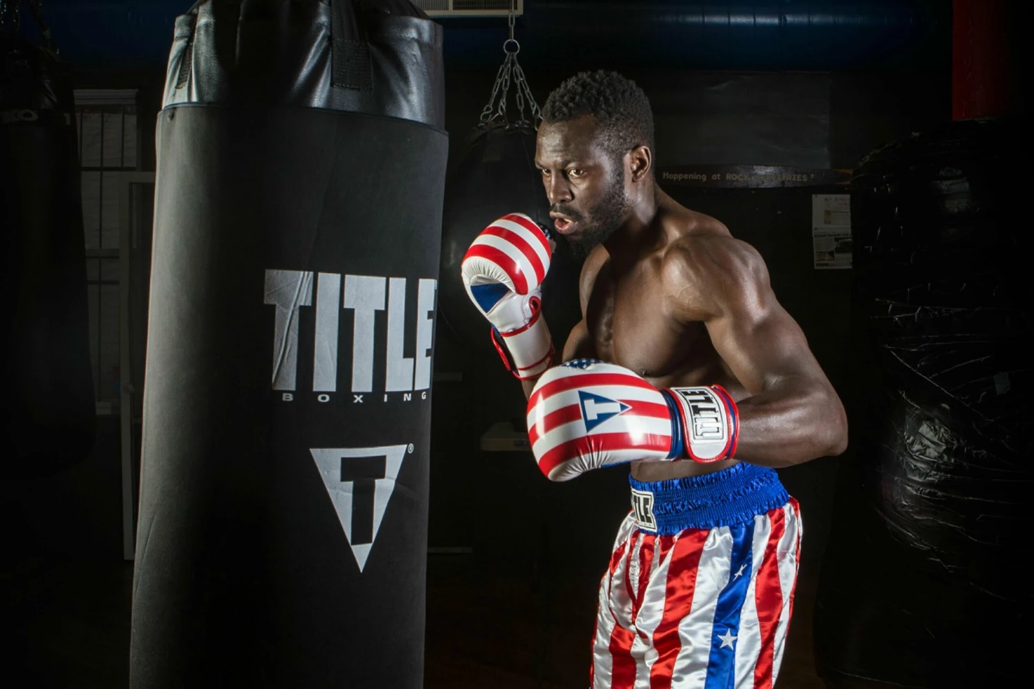 TITLE Boxing Infused Foam Combat USA Training Gloves 2 TITLE Boxing Infused Foam Combat USA Training Gloves - Image 2