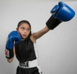 TITLE Boxing Aerovent Elite Amateur Set - Original -Boxing Equipment Sales Store tabs 1