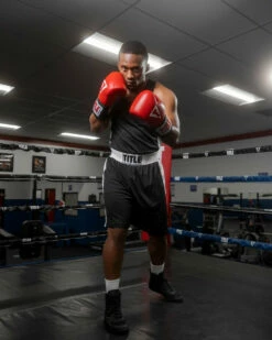 TITLE Boxing Aerovent Elite Amateur Set - Original -Boxing Equipment Sales Store tabs bk 1 1