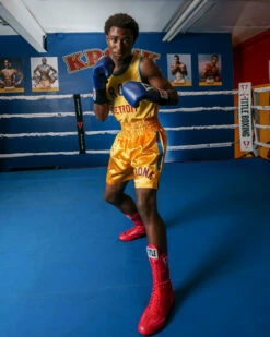 TITLE Boxing Speed-Flex Encore High-Top Shoes 28 TITLE Boxing Speed-Flex Encore High-Top Shoes -Boxing Equipment Sales Store tbs 2 rd 2 8