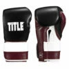 TITLE Boxing Immortal Training Gloves