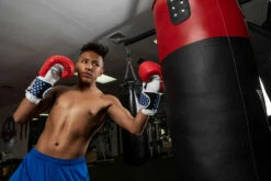 TITLE Boxing USA Leather Bag Gloves -Boxing Equipment Sales Store usabg replace the current