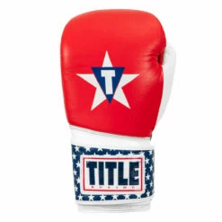 TITLE Boxing USA Leather Bag Gloves -Boxing Equipment Sales Store usabg 03