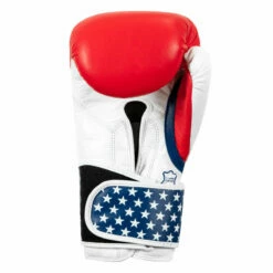 TITLE Boxing USA Leather Bag Gloves -Boxing Equipment Sales Store usabg 04