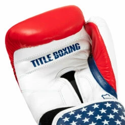 TITLE Boxing USA Leather Bag Gloves -Boxing Equipment Sales Store usabg 05