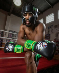 WBC By TITLE Boxing Sparring Headgear -Boxing Equipment Sales Store wbchg bk 1