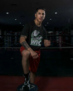 WBC By TITLE Boxing Flag Tee -Boxing Equipment Sales Store wbct2