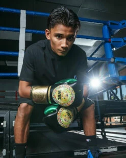 WBC By TITLE Boxing Green Belt Training Gloves 1.0 20 WBC By TITLE Boxing Green Belt Training Gloves 1.0 -Boxing Equipment Sales Store wgbtg bk 2 1