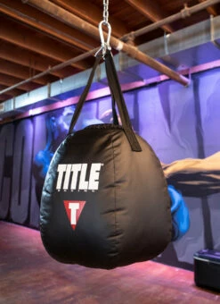 TITLE Boxing Wrecking Ball Heavy Bag -Boxing Equipment Sales Store wrbhb 2
